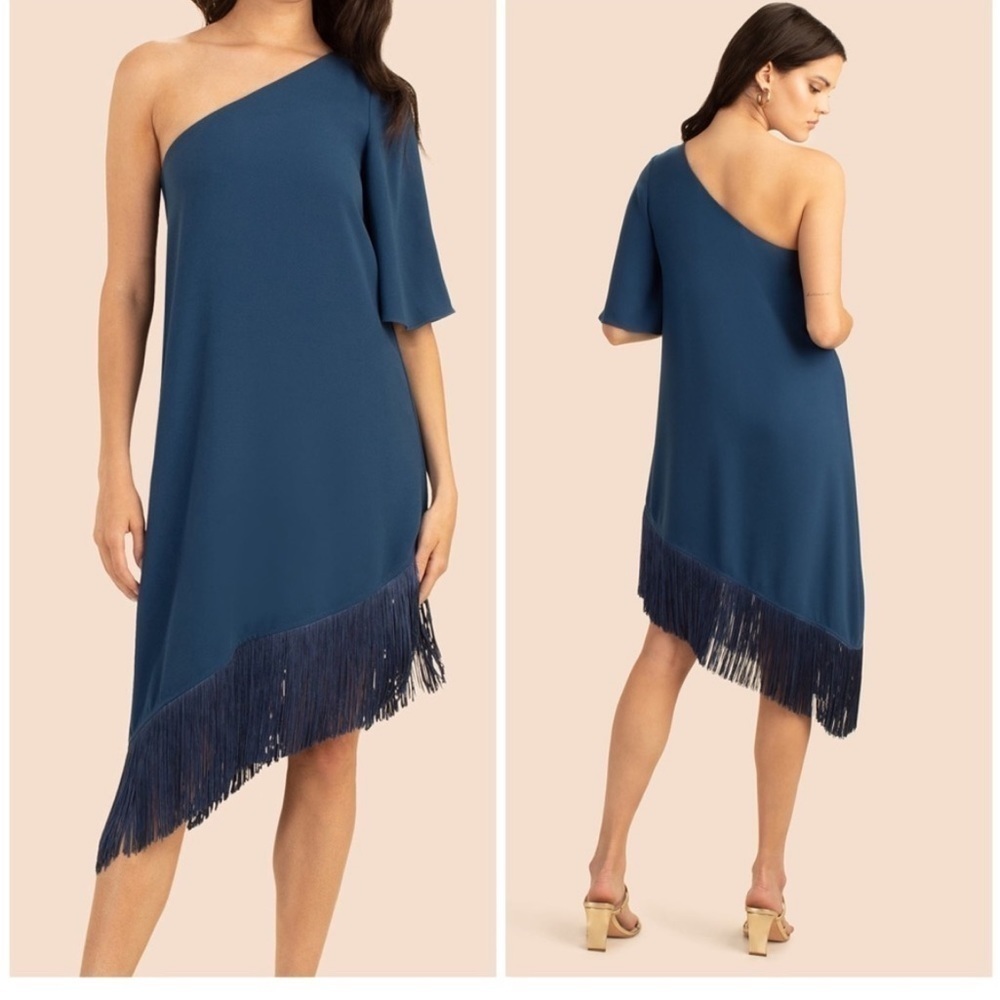 NWT, Trina Turk,Gull Dress,Stunning Asymmetrical Dress Embellished Fringe,Size S - Picture 13 of 13